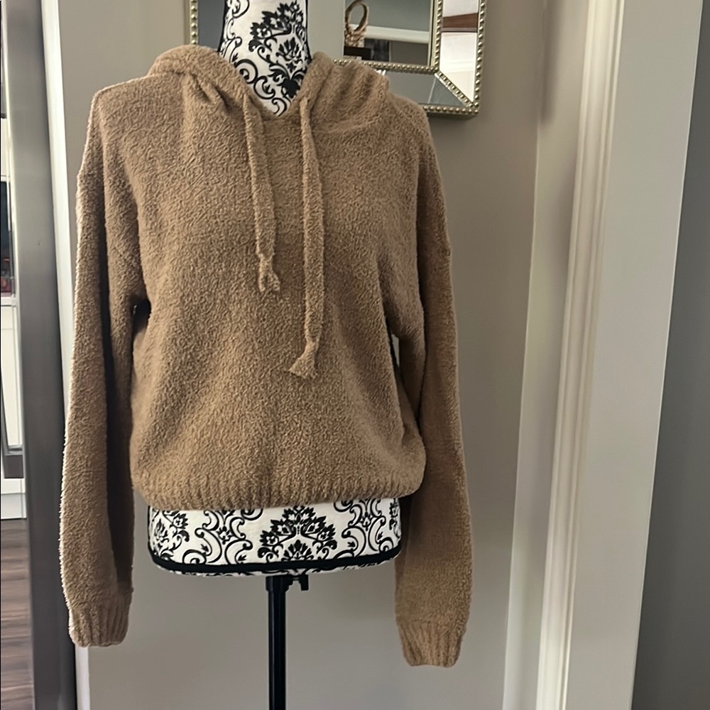 Cozy Tan Hooded Sweater